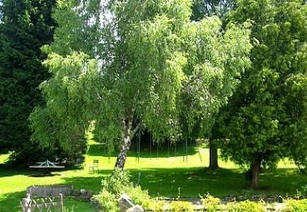 Chambon-sur-Dolore Hotel La Clairiere מראה חיצוני תמונה
